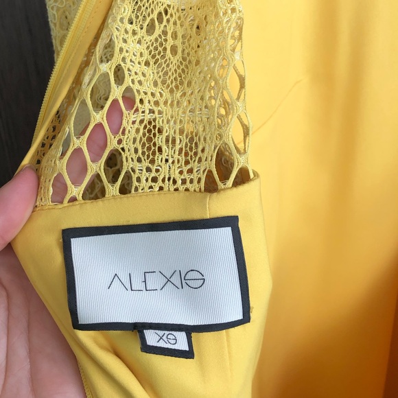 Alexis lace dress - Picture 8 of 8